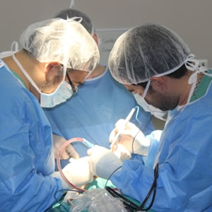 05_maxilofacial 05_maxilofacial