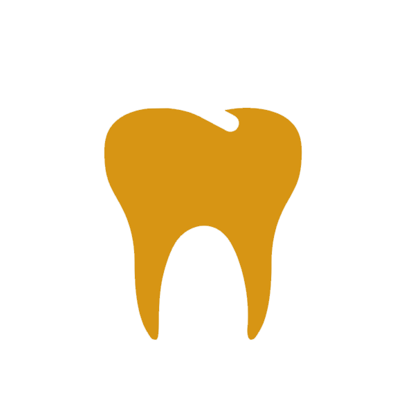 ENDODONCIA